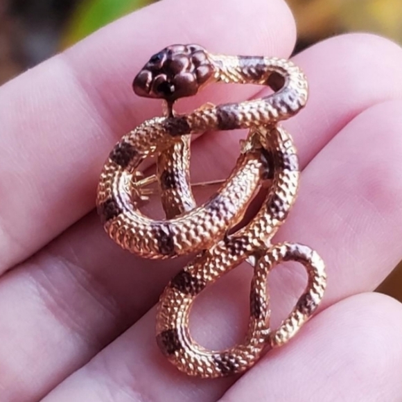 Jewelry - NWOT Gold & Brown Snake Brooch